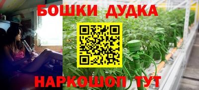индика Тулун