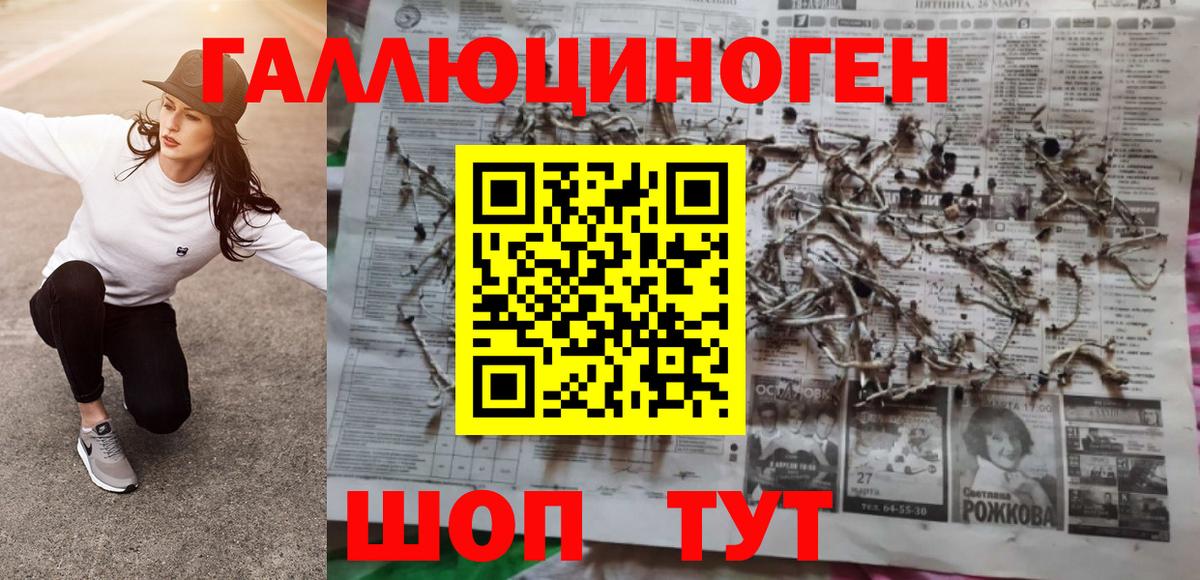 Псилоцибиновые грибы Cubensis Ахтубинск