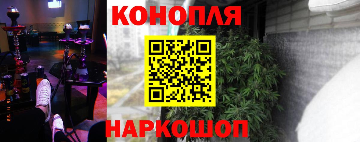 Бошки Шишки сатива Ахтубинск
